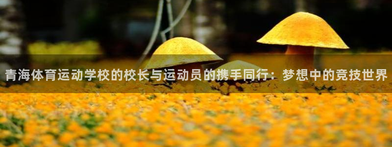 皇冠277体育：青海体育运动学校的校长与运动员的携手同行：梦想中的竞技世界