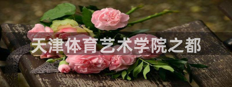 皇冠277体育：天津体育艺术学院之都