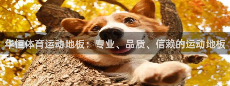 77体育：华恒体育运动地板：专业、品质、信赖的运动地板