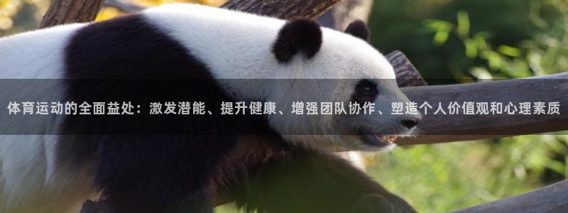 皇冠277体育
