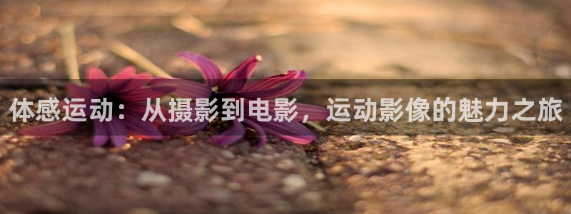 77体育app下载官网