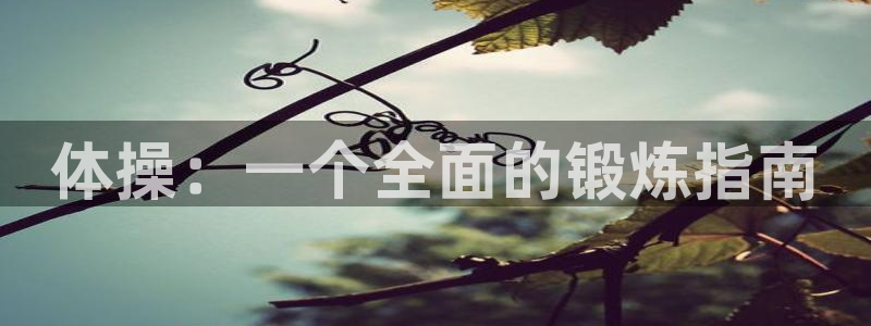 77体育官网