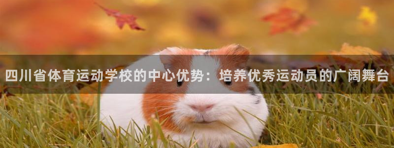 77体育
