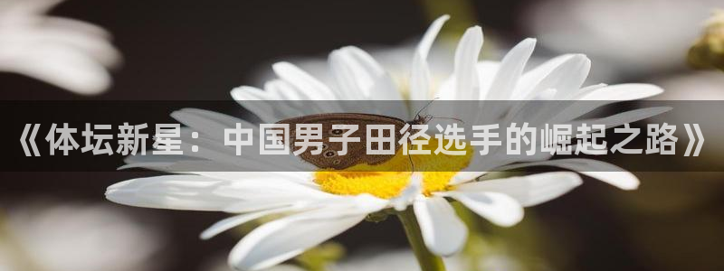 77体育：《体坛新星：中国男子田径选手的崛起之路》